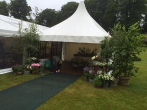 Mohamed Sakho Pagodas  